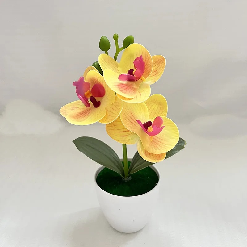 1Pcs 20CM Simulation Plants Po - Outdoor Furniture Cafe 리뷰 및 가격